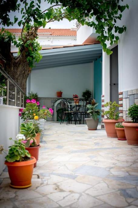 Spacious Apartment In The Heart Of Pythagorion Pythagoreio Exterior foto